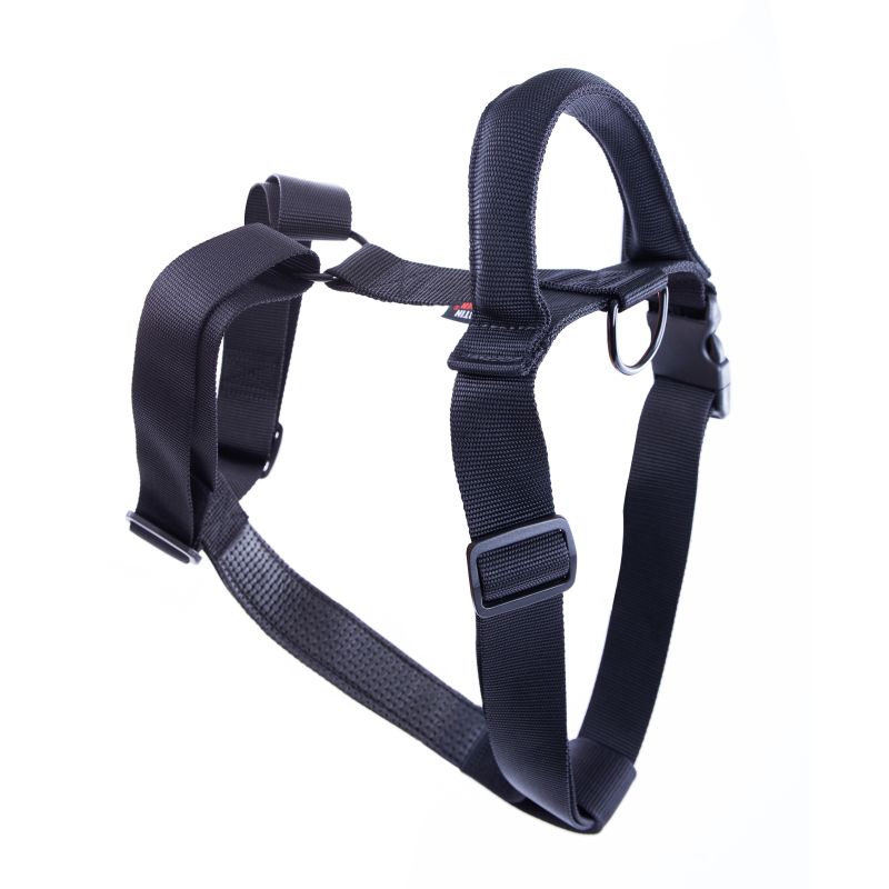 Harnais Avec poignée Réglable Nylon XL 40-90/11