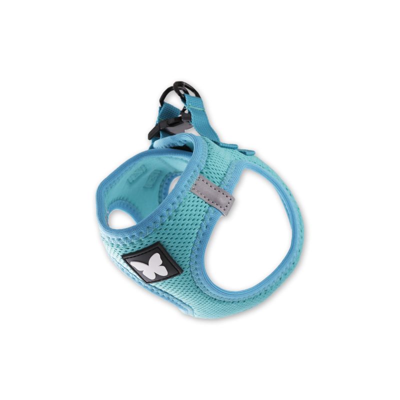 Harnais Mesh Turquoise