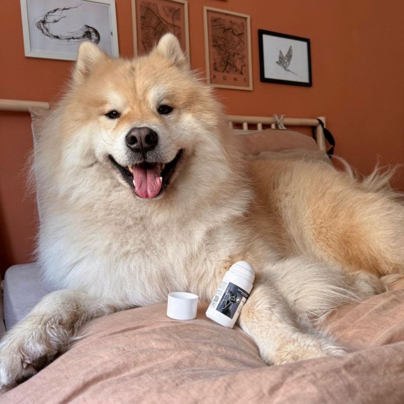 Soin Coussinets 50Ml