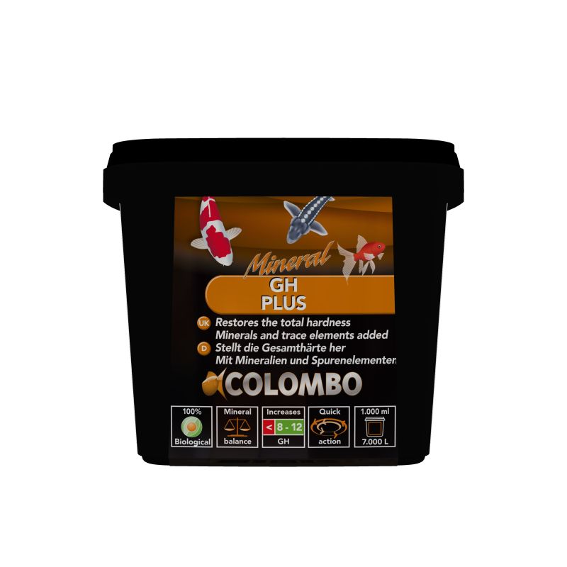 Colombo Gh+