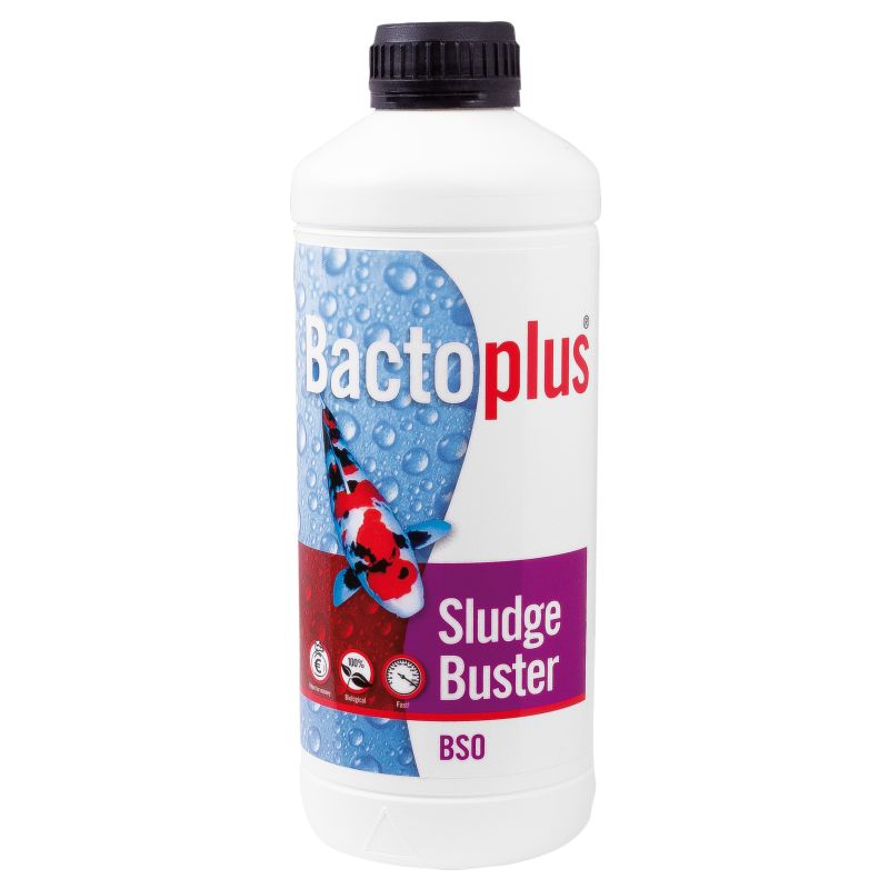 Bactoplus Bso