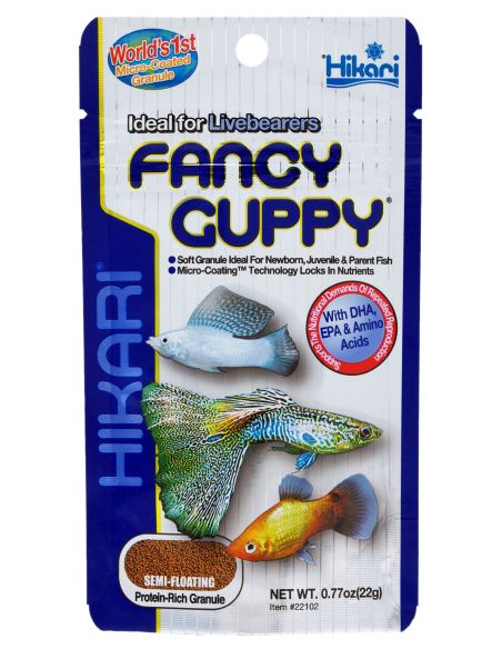 Hikari Fancy Guppy