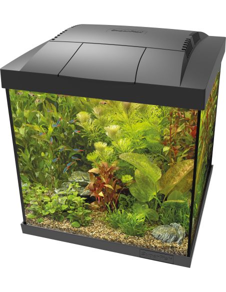 Start 30 Qube Kit