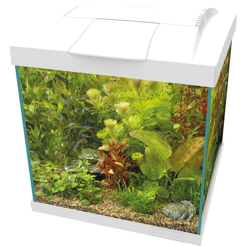 Start 30 Qube Kit