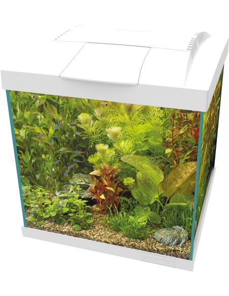 Start 30 Qube Kit