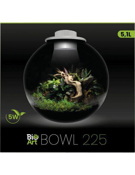 Sf Bio Art Bowl 225