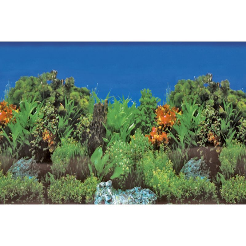 Sf Deco Poster B3 100X49 Cm