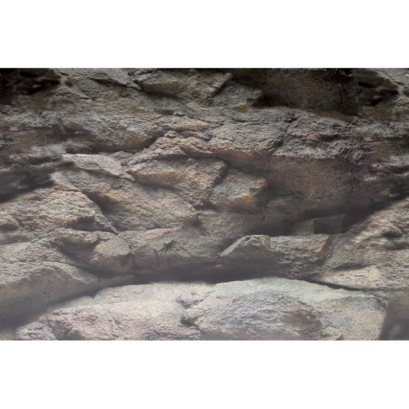 Sf Deco Poster B4 120X49 Cm