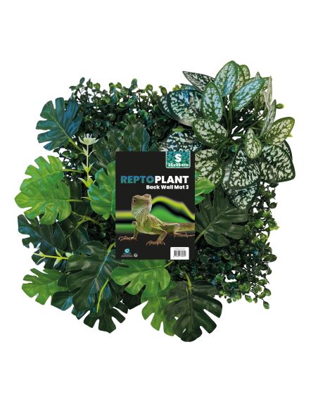 Repto Plant Back Wall Mat 25X25 Cm 3