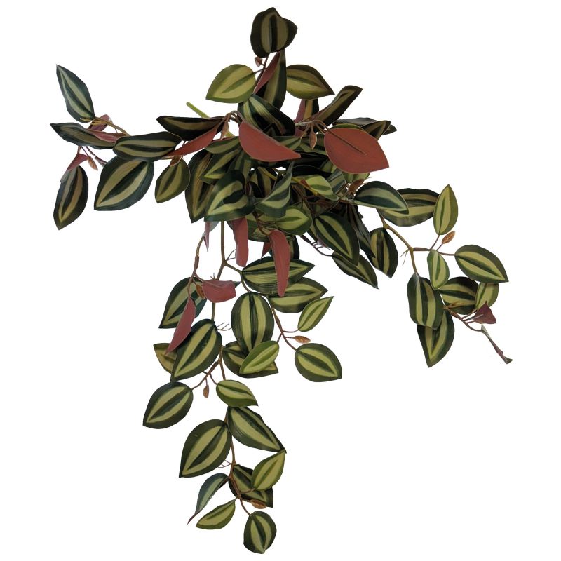Repto Plant Hanging Red Back 46Cm