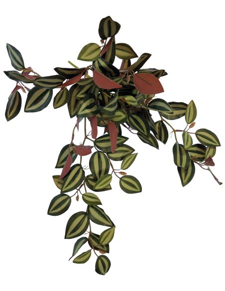 Repto Plant Hanging Red Back 46Cm