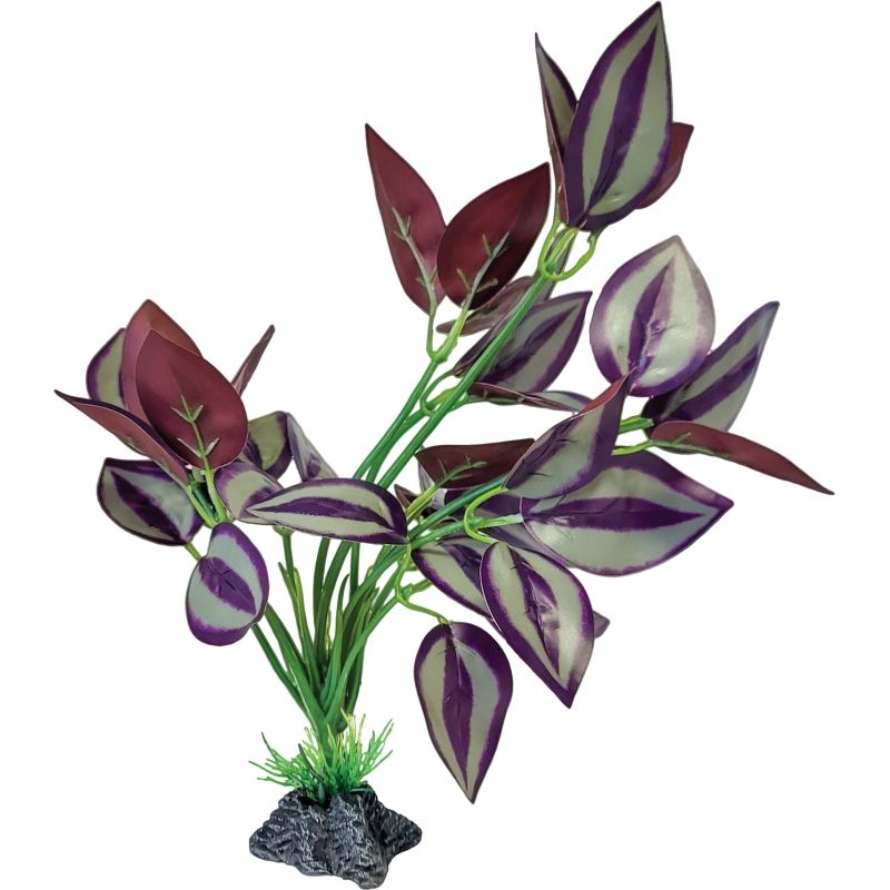 Repto Plant Standing Purple Leaves