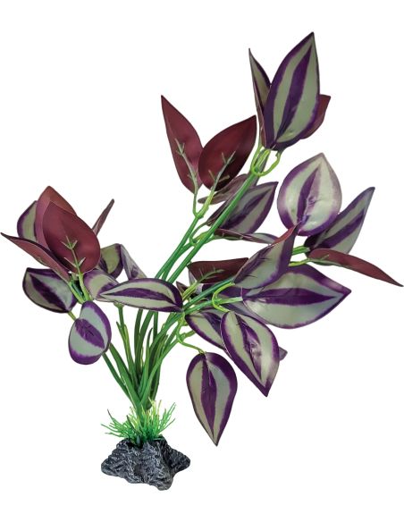Repto Plant Standing Purple Leaves