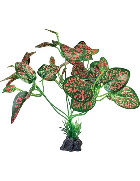 Repto Plant Standing Red/Green