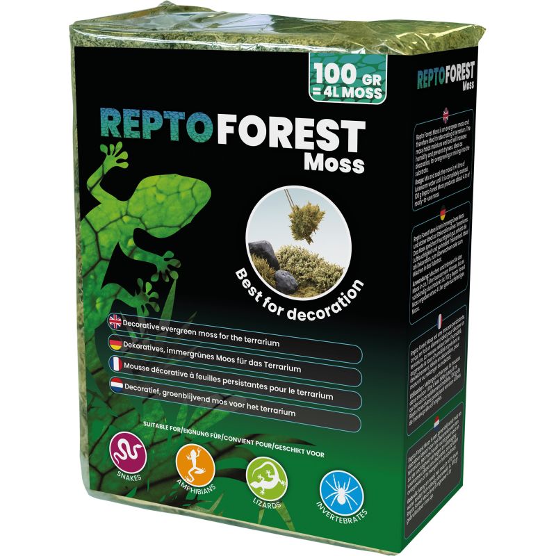 Repto Forest Moss 100G
