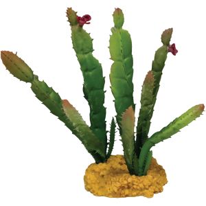 Repto Plant Cactus Needle Red Tip