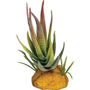 Repto Plant Aloe Red Tip