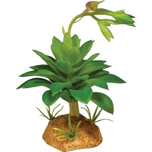 Repto Plant Succulent Green