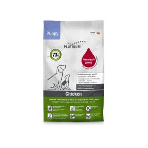 Platinium Poulet - Chiot Chien