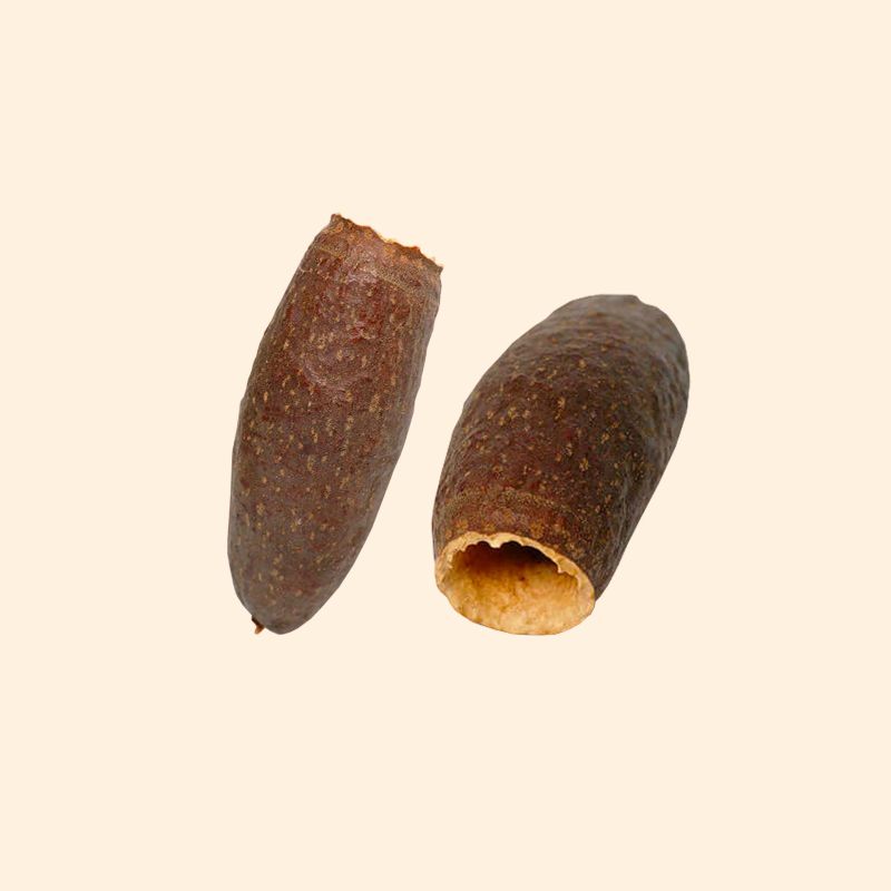 Gousse de Cariniana Legalis 7-9cm