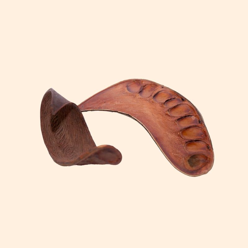 Gousse de Xylia 10-12cm