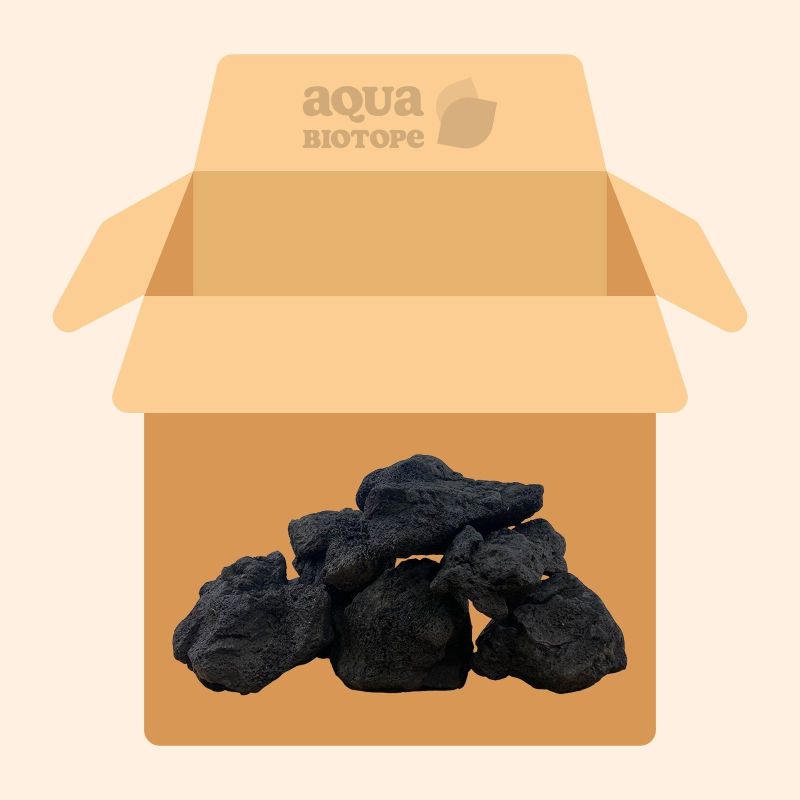 Black Lava Stone BOX 19kg
