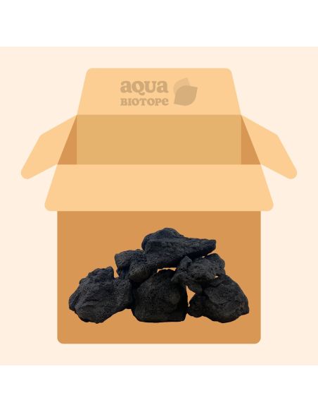 Black Lava Stone BOX 19kg