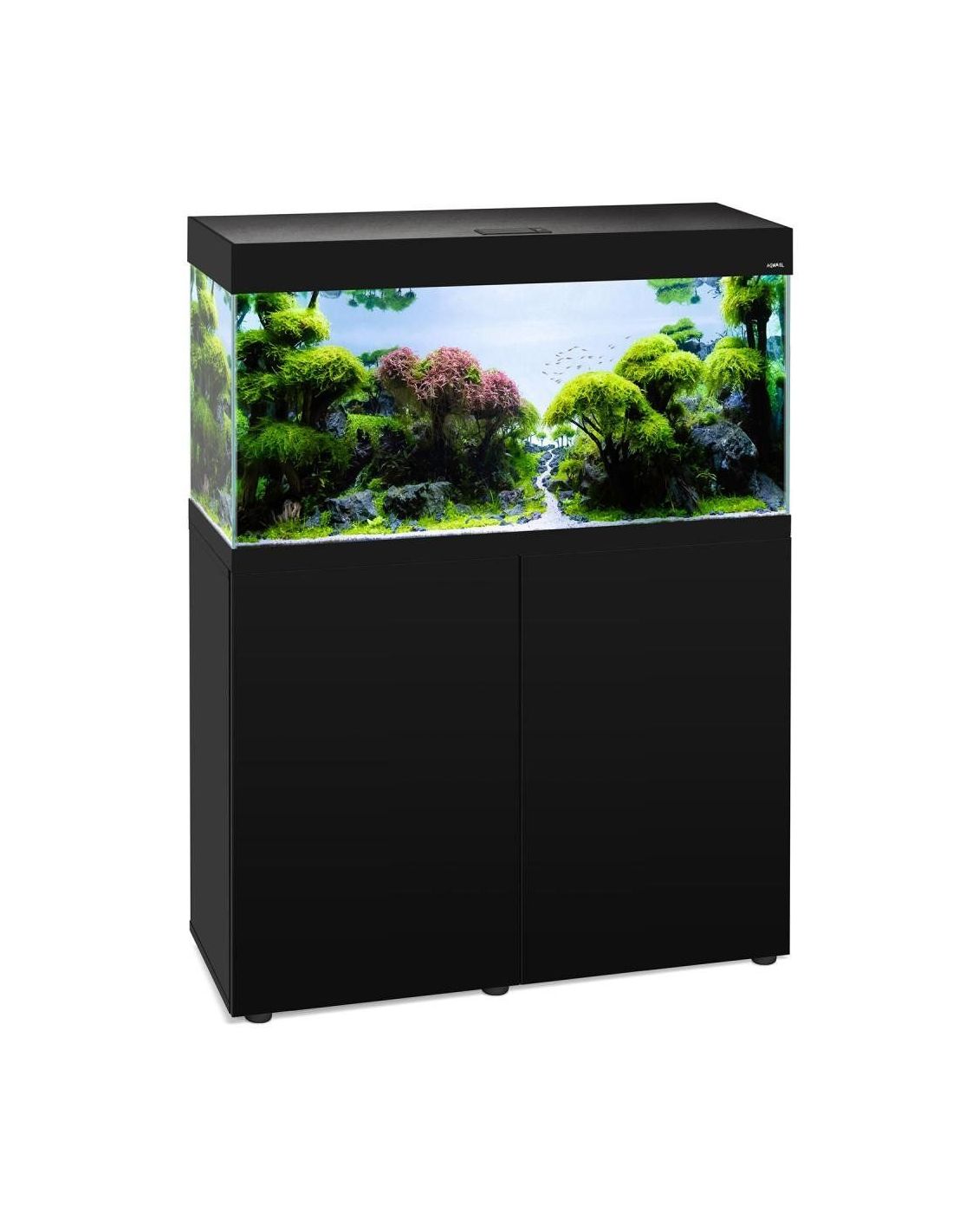 Sitemapcdatahttpapsmixel Thicoipeinfoidee Deco Aquarium 200l