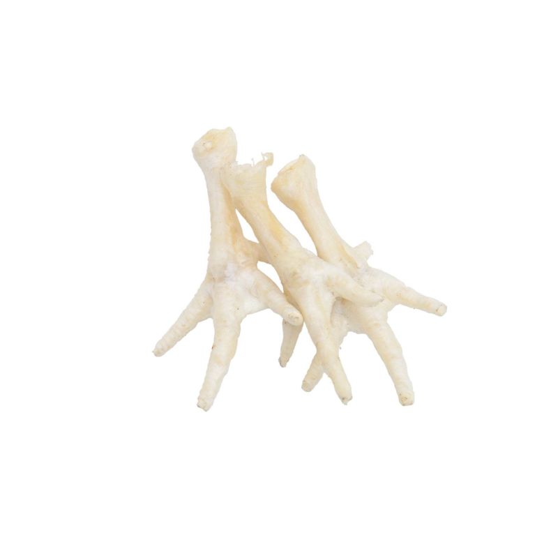 Pate de Poulet - 5pcs COMFY