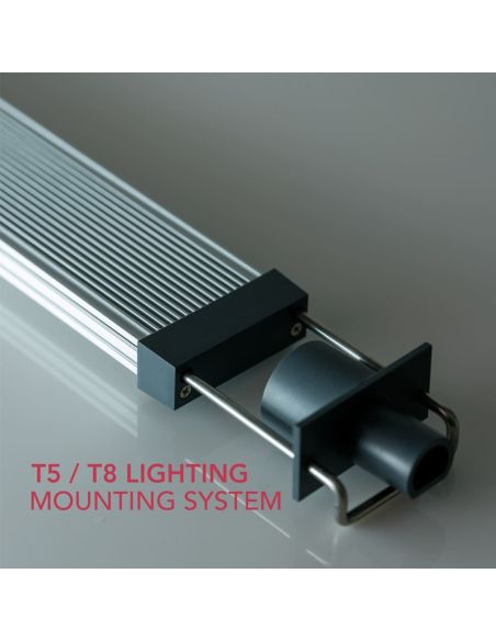 Twinstar Light 60G - Étanche
