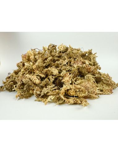 Sphaigne ReptiTracker 150g, 500g, 1kg