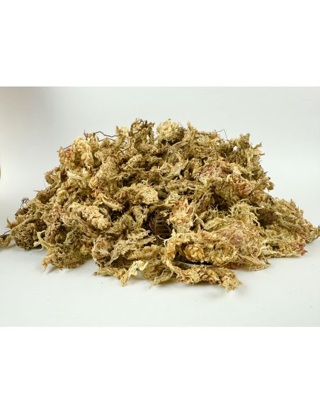 Sphaigne ReptiTracker 150g, 500g, 1kg