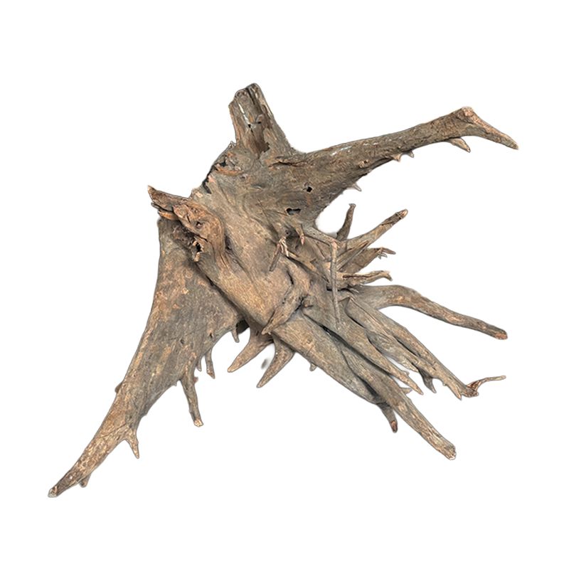 Racine Driftwood Stump L 40-50cm