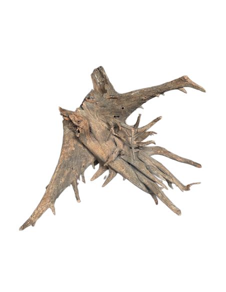 Racine Driftwood Stump L 40-50cm