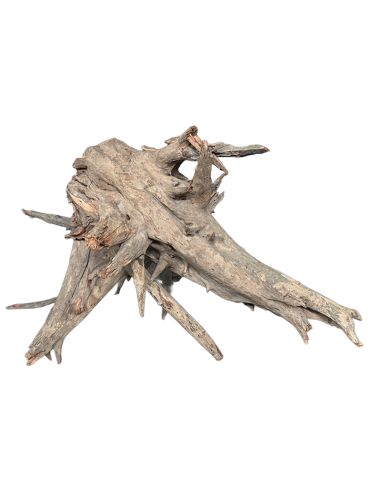 Racine Driftwood Stump L 50-70cm