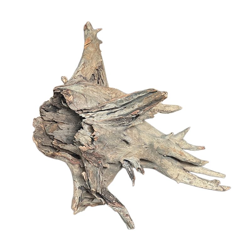 Racine Driftwood Stump L 50-70cm