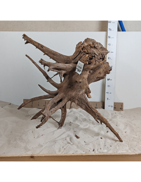 Corbo Wood XL - 16