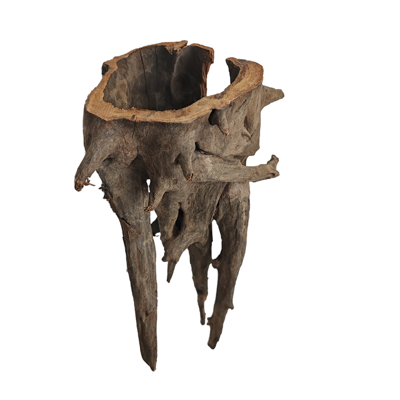 Racine Corbo Wood M 30-45cm