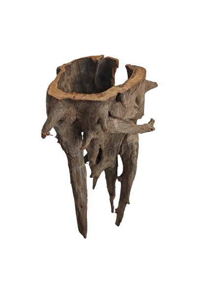 Racine Corbo Wood M 30-45cm