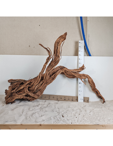 Racine Legno Wood XXL - 1