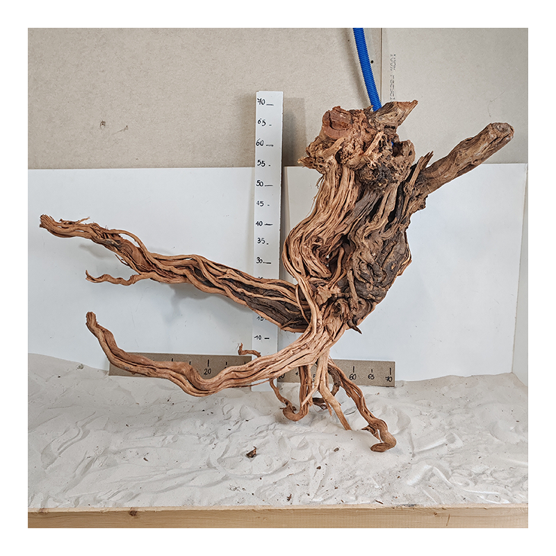 Racine Legno Wood XXL - 4