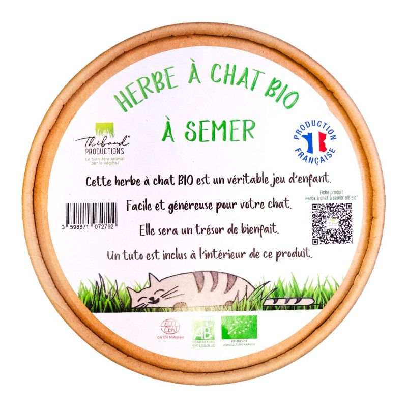 Herbe à Chats à Semer Bio coupelle  - Origine France