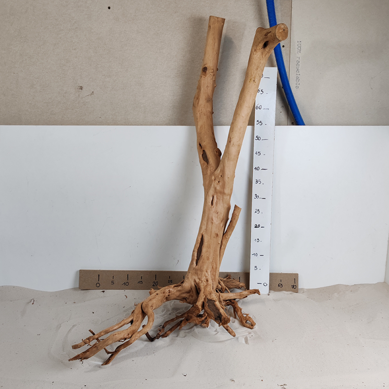 StumpWood 3