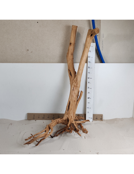 StumpWood 3