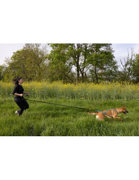 Harnais 'OLYMPIA' - Cani Gear