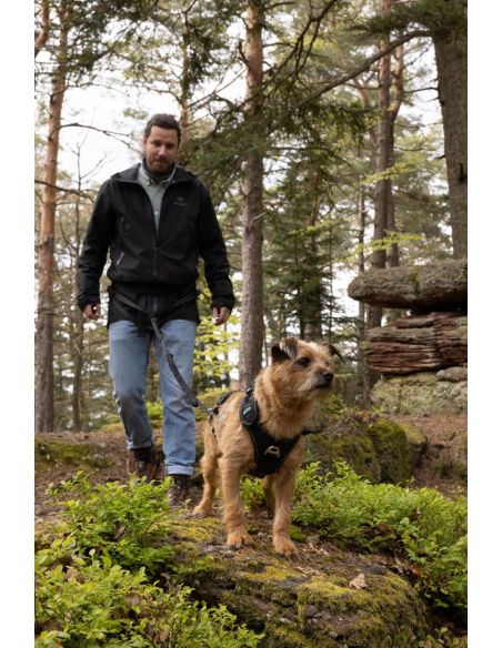 Harnais 'SYMBIOZ' - Cani Gear