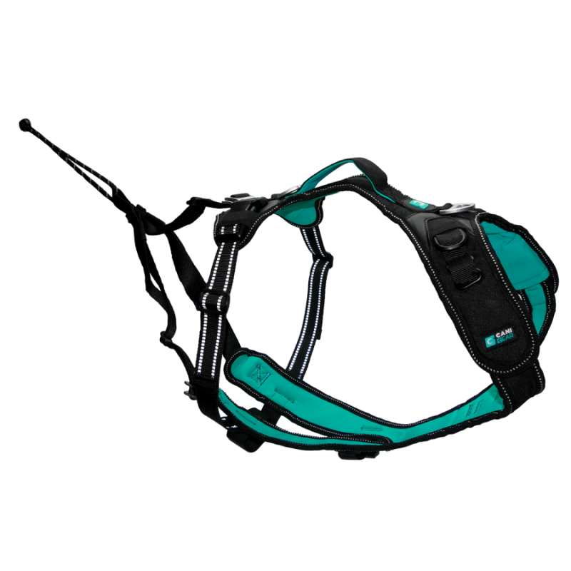Harnais 'SYMBIOZ' - Cani Gear