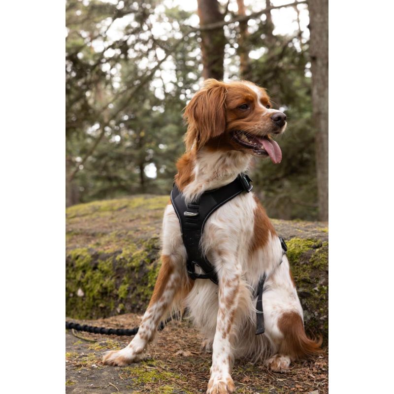 Harnais 'SYMBIOZ' - Cani Gear