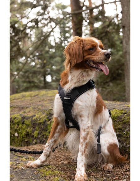 Harnais 'SYMBIOZ' - Cani Gear