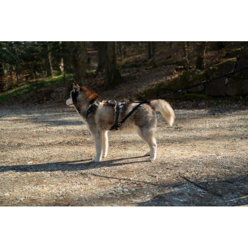 Harnais 'SYMBIOZ' - Cani Gear